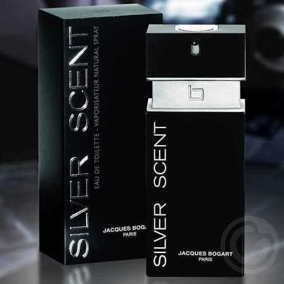 سيلفر سنت برفيوم 100ml